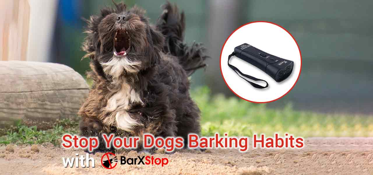 stop dog barking barxstop review