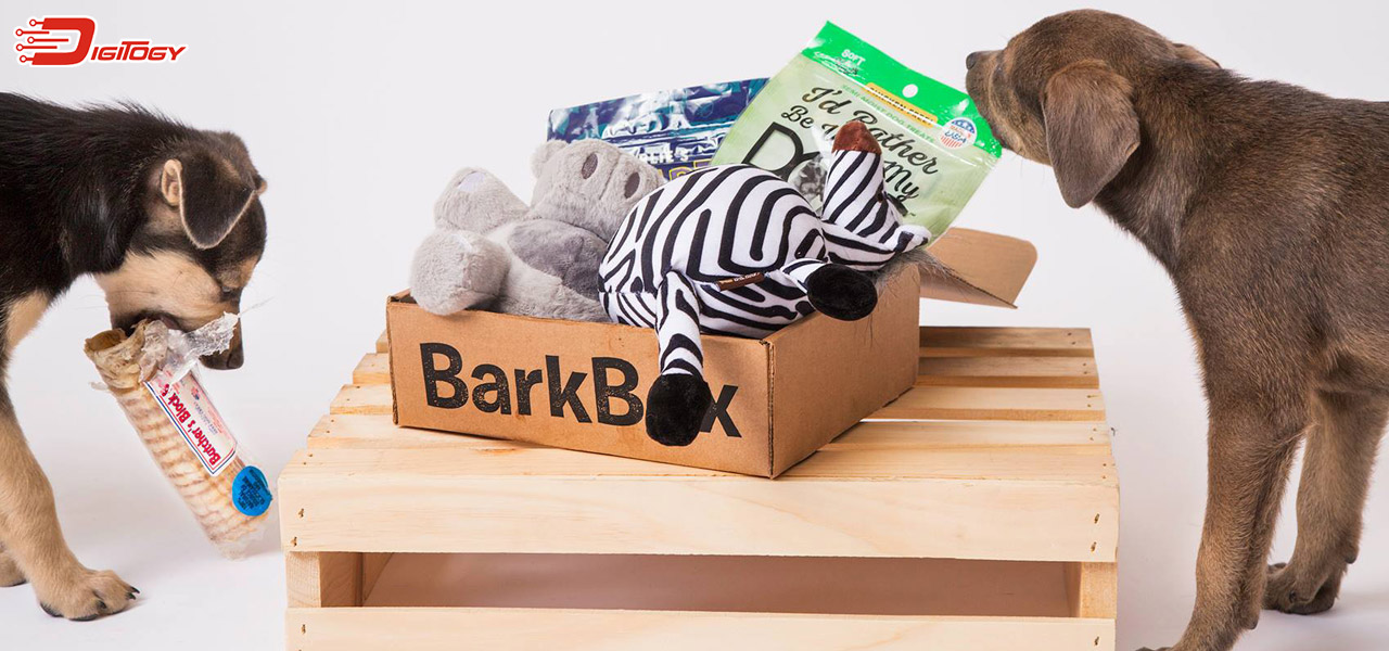 barkbox review