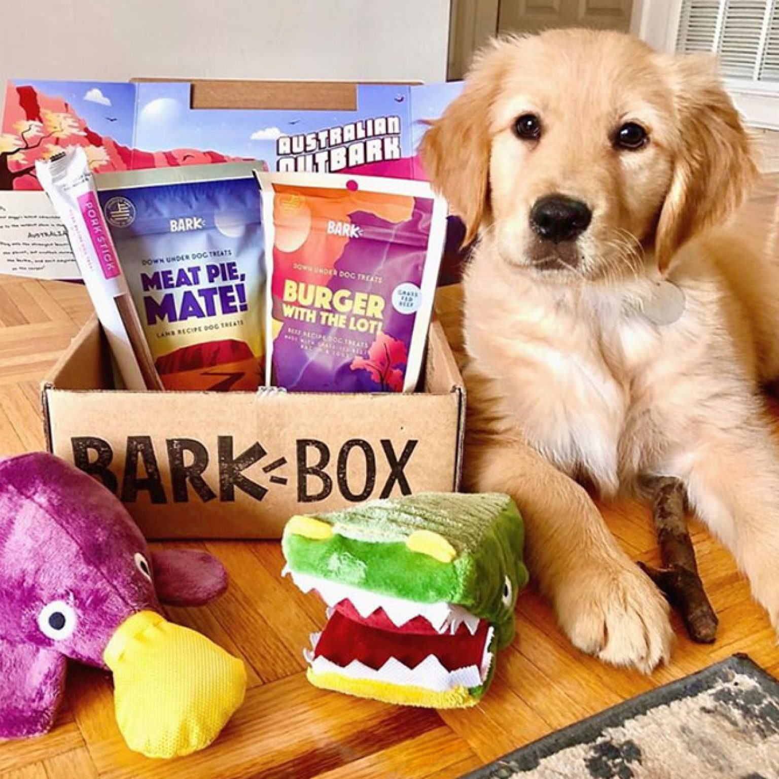 Is BarkBox Any Good? [2023 INDEPTH REVIEW]