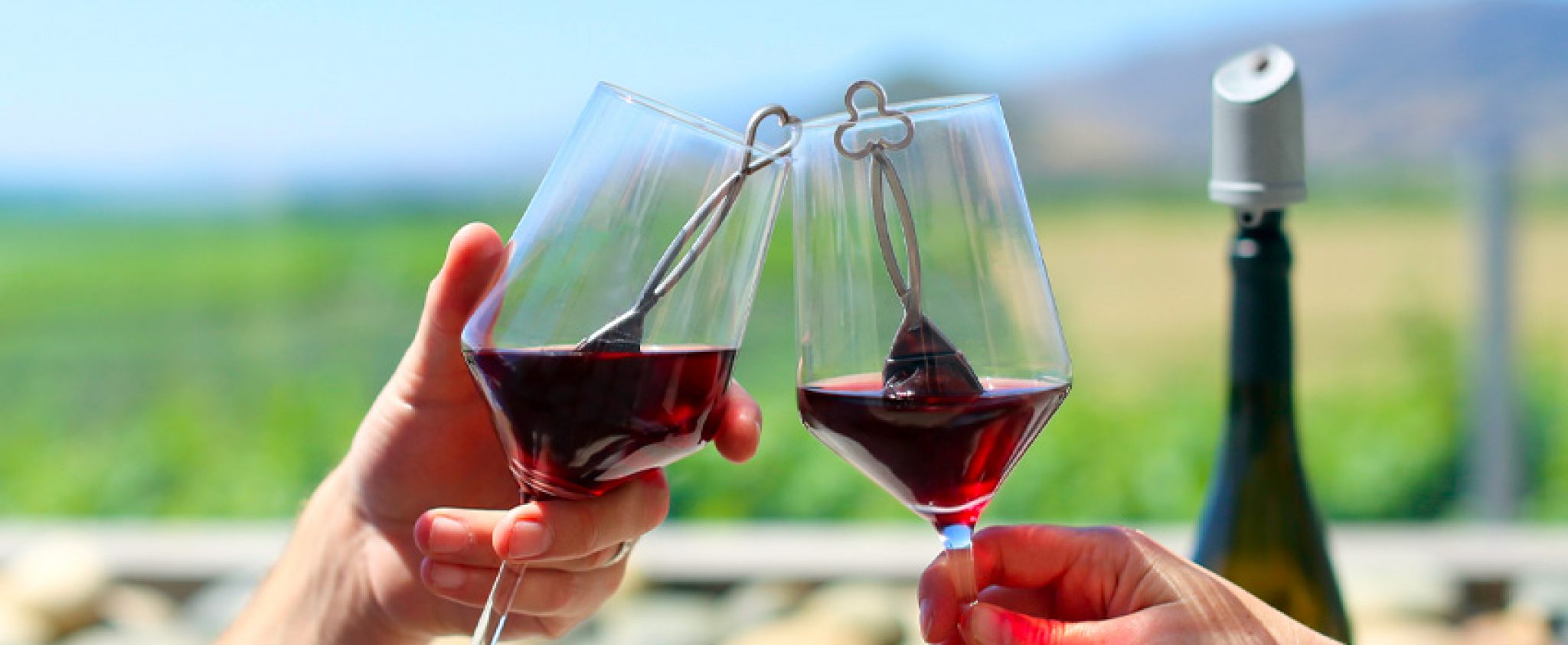 The Wand Wine Purifier 2022 Makes Wine Taste Better