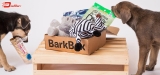 BarkBox Review 2022: Customized Box Of Themed Treats For Your Pup