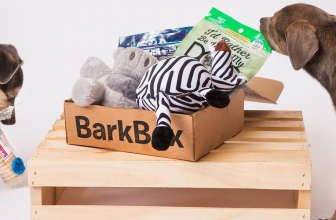 BarkBox Review 2024: Customized Box Of Themed Treats For Your Pup