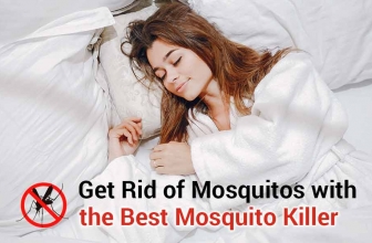 Best Mosquito Killer – Most Effective Method