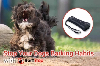 BarXStop Review 2022: The Nicest Way to Shut Dogs Up?