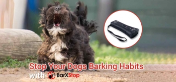 BarXStop Review 2024: The Nicest Way to Shut Dogs Up?